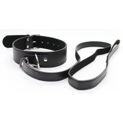 Generique Collier Laisse Premium